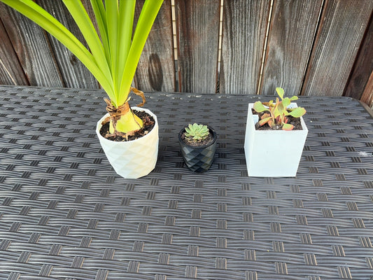 Starter pot set - FormFusions