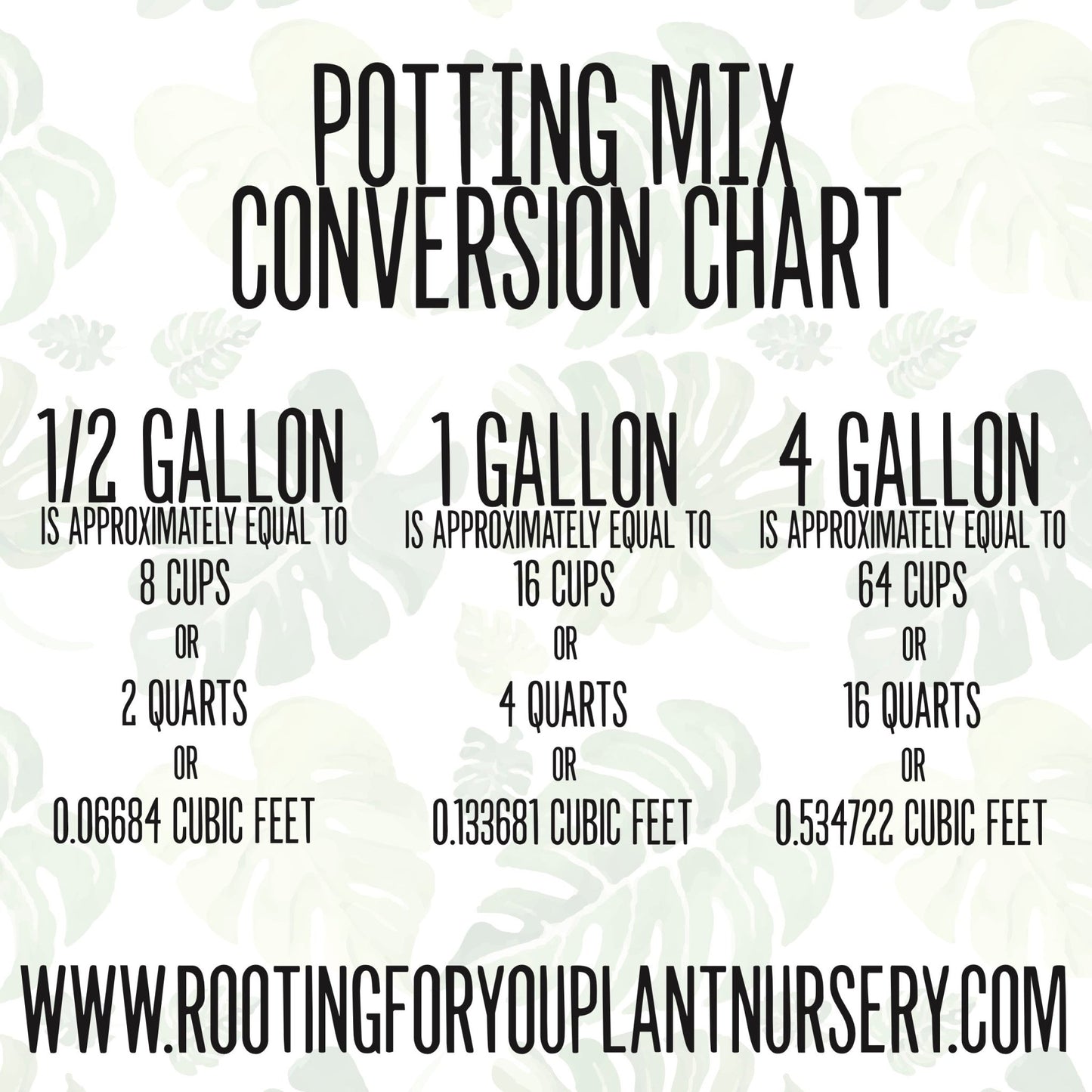 Cactus and Succulent SEED STARTING Premium Potting Mix - FormFusions
