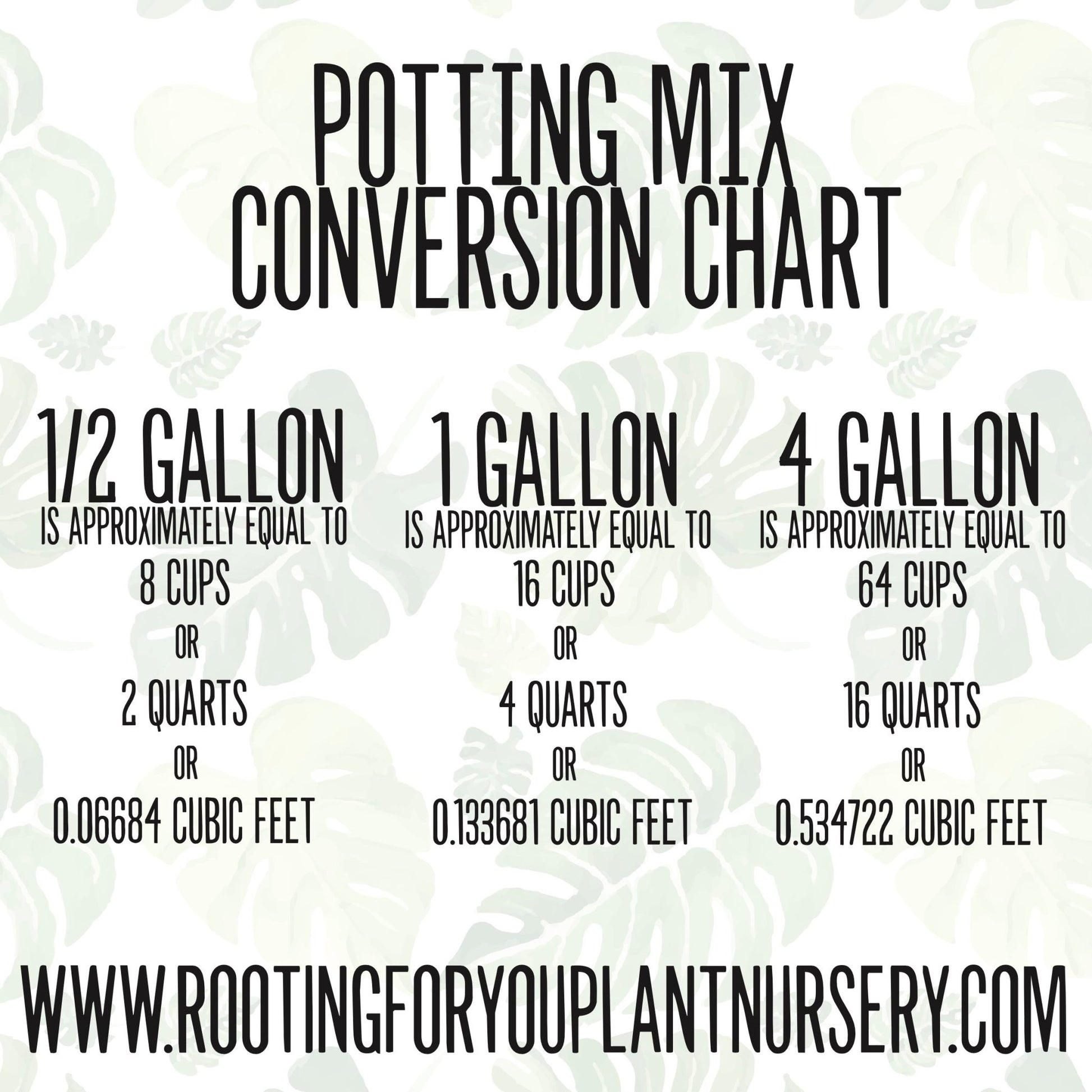 Cactus and Succulent SEED STARTING Premium Potting Mix - FormFusions