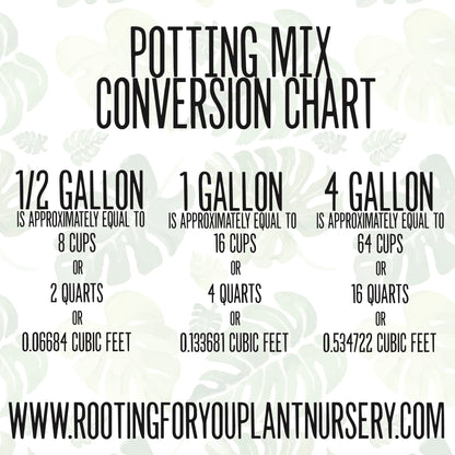 Cactus and Succulent SEED STARTING Premium Potting Mix - FormFusions