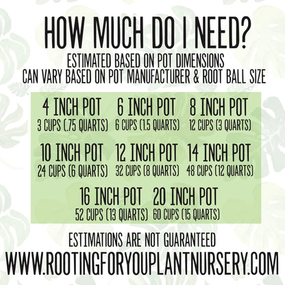 Cactus and Succulent SEED STARTING Premium Potting Mix - FormFusions