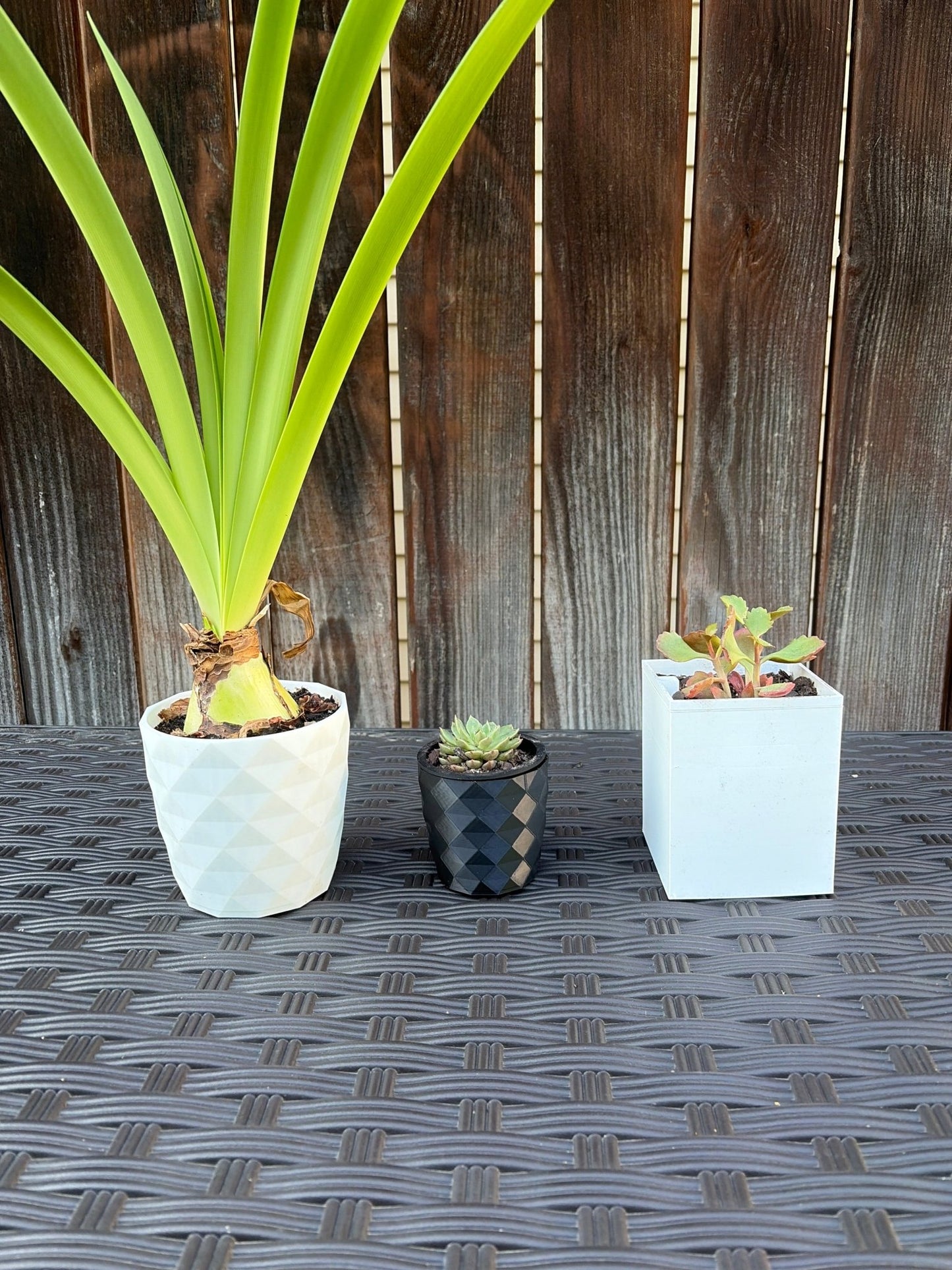 Starter pot set - FormFusions