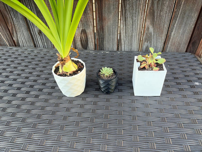 Starter pot set - FormFusions